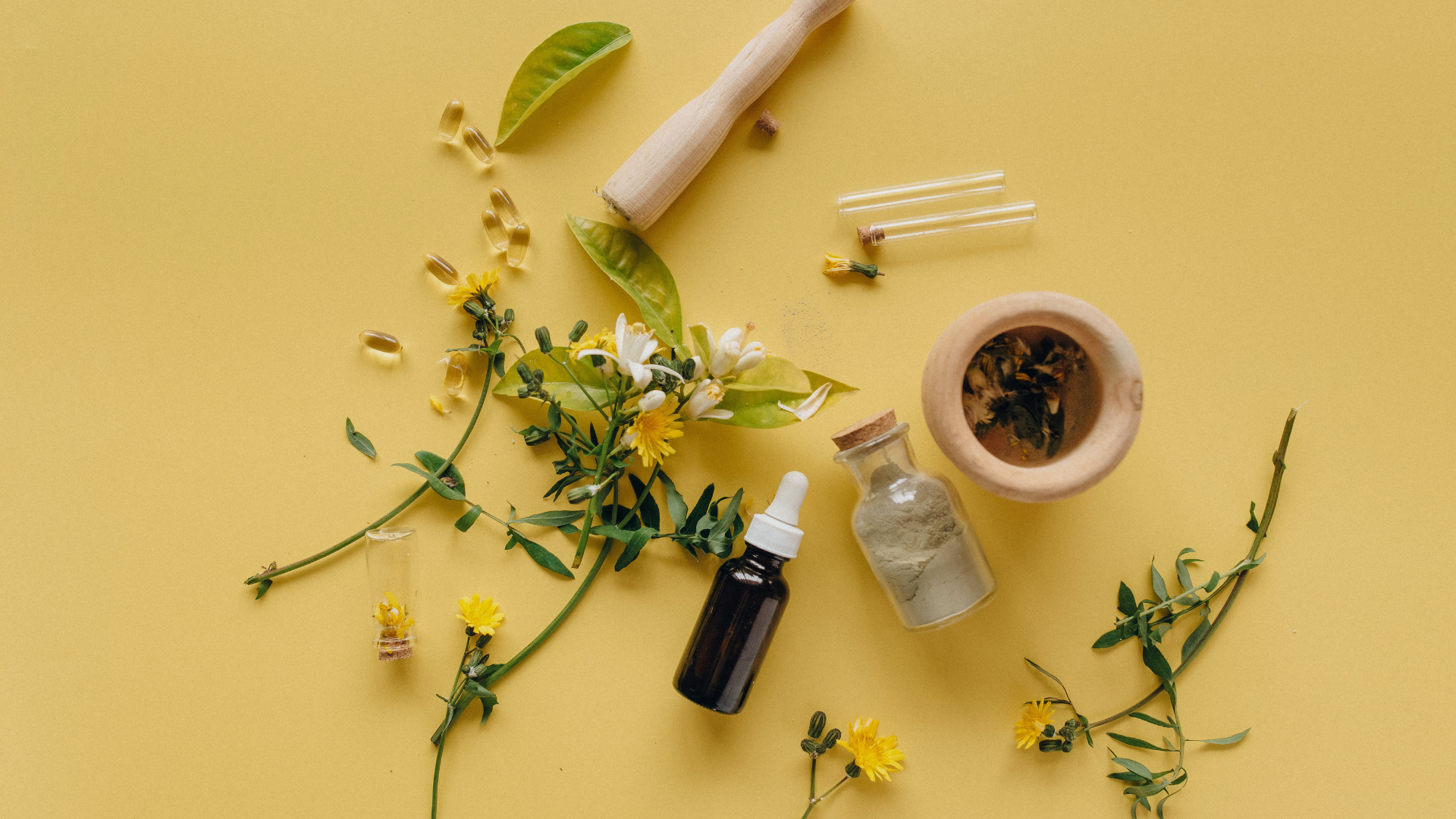 The Great Botanical Revival… here’s how to utilise natural remedies