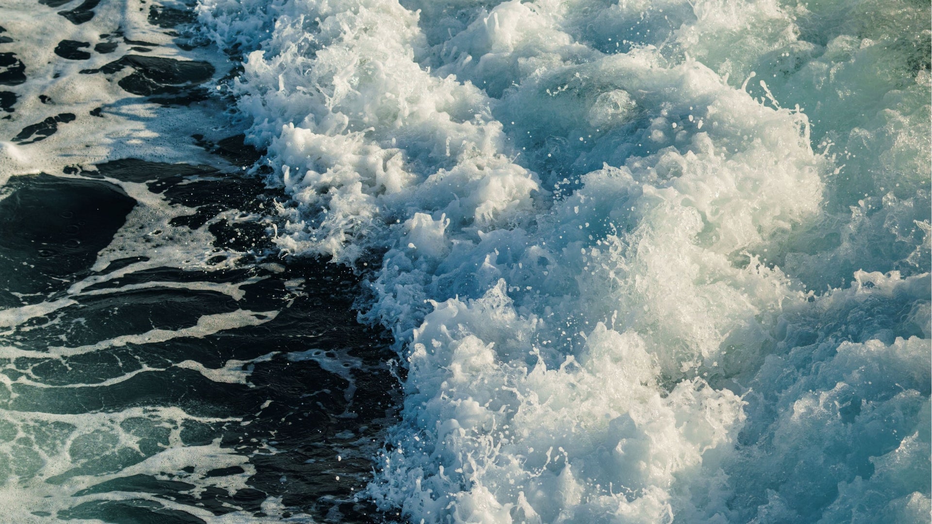 The Science of Sea Air