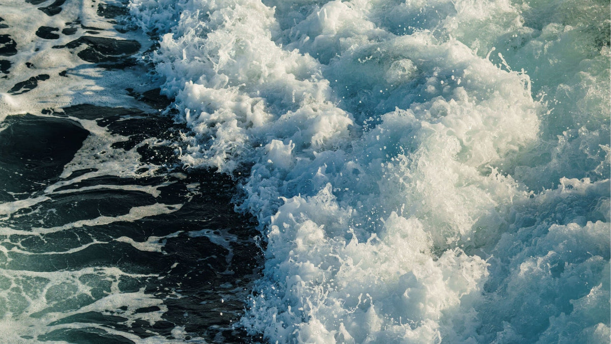 The Science of Sea Air