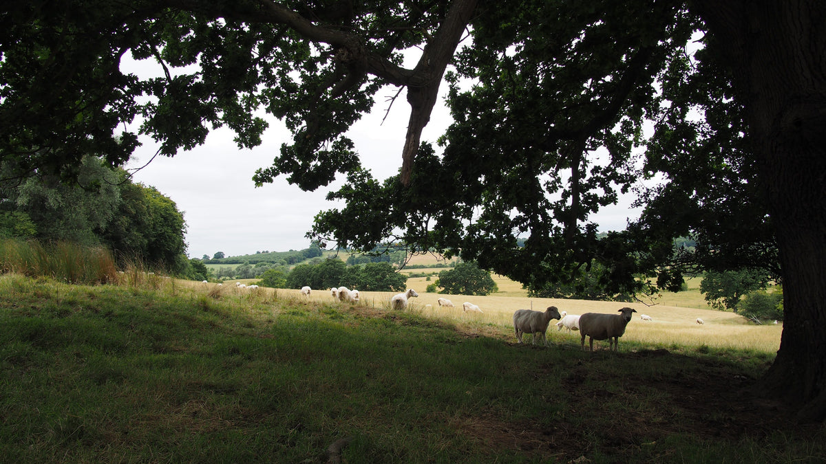 Farm life is calling…