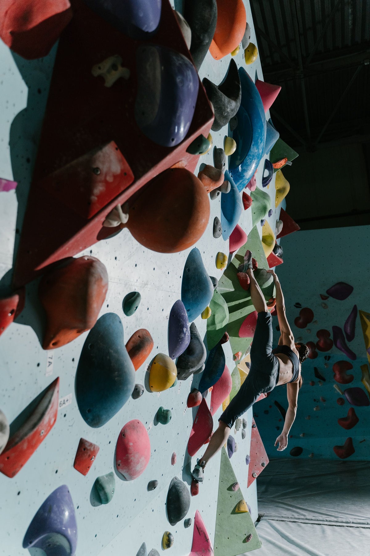 Could you be a Renaissance Athlete?
