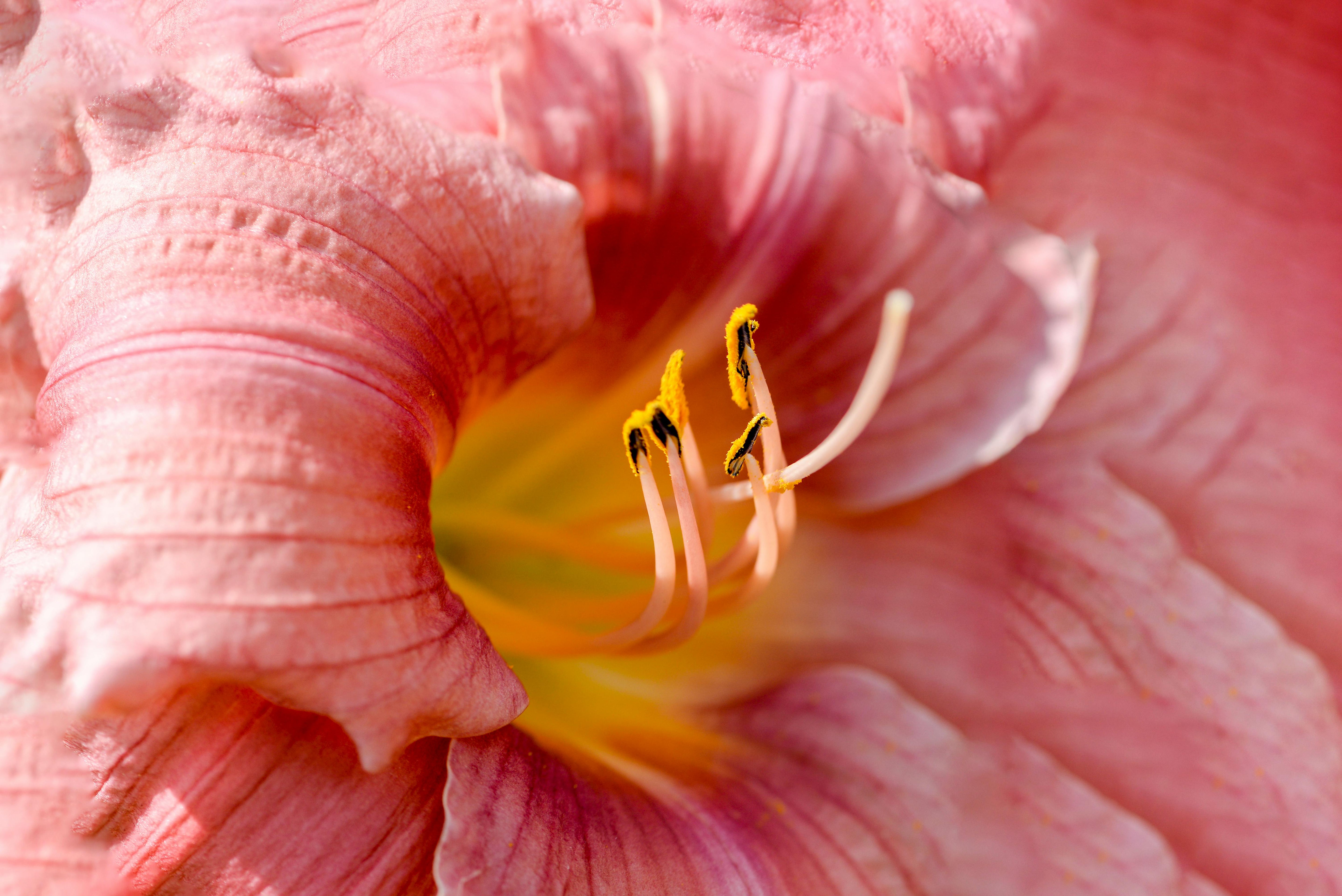 Why hayfever feels worse than ever… and what actually helps