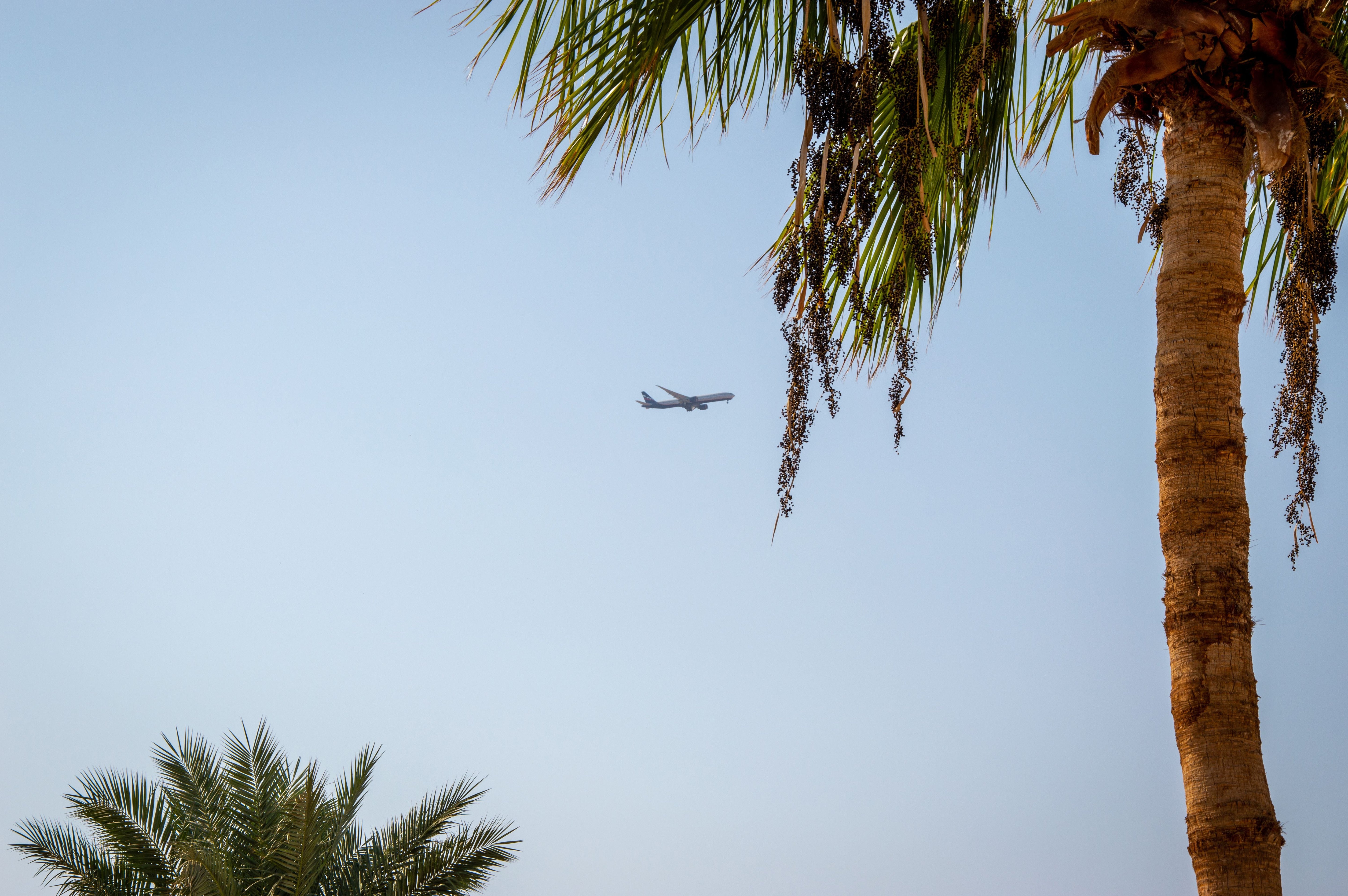 Can you really leave stress in the airport?