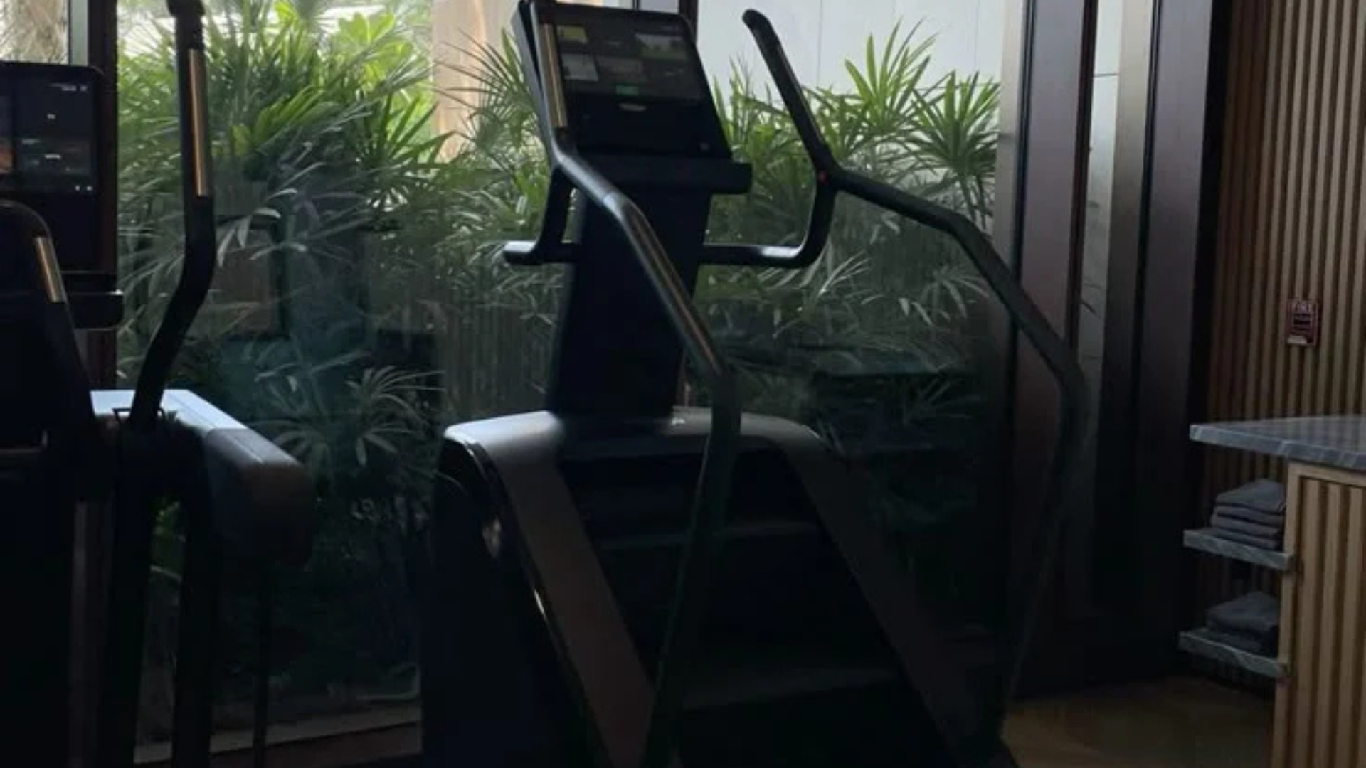 Gym girlies love the Stairmaster… but is it worth the hype?